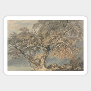 A Great Tree by J.M.W. Turner Sticker